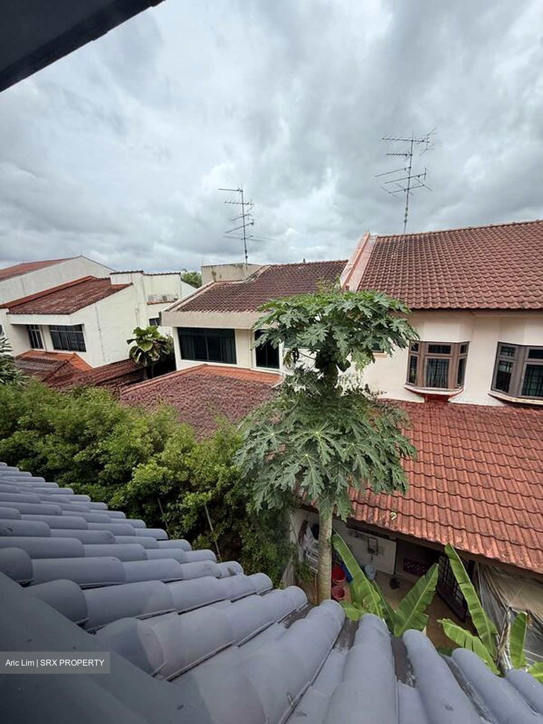 Villa Begonia (D28), Semi-Detached #575823091